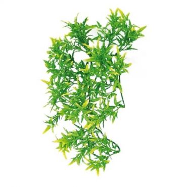 Zoo Med - Bolvian Croton - Terramania.nl