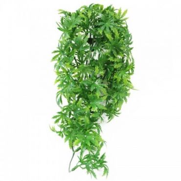 Zoo Med - Canabis - Terramania.nl