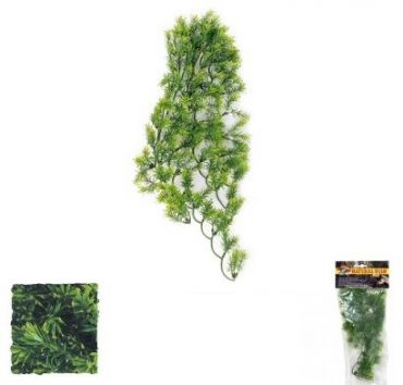 Zoo Med - Borneo Star - Terramania.nl