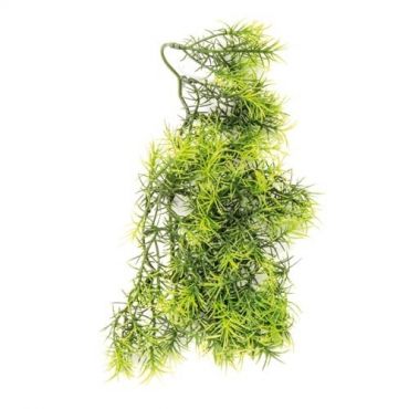 Zoo Med - Cashuarina - Terramania.nl