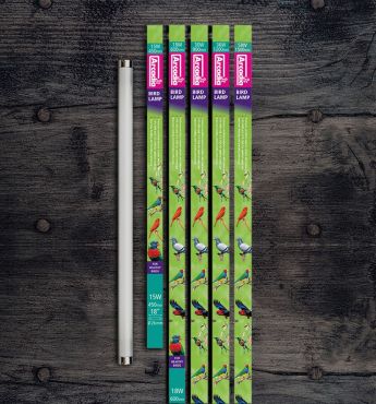 Vogellampen met UVB & daglicht kopen? Arcadia Vogellamp T8 UV lamp [150 cm / 58 Watt] | CFB58 | 830857000560