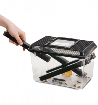 Eco-Terra Cricket Pen Small kopen? | PT2285 | 015561222853