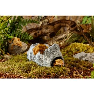 Schuilplaats voor het terrarium kopen? Wet Rock small | PT3173 | 0015561231732