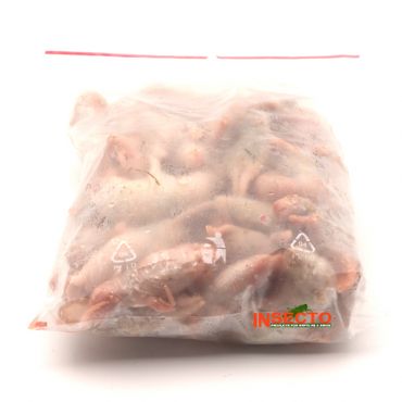 4-10 gram, Baby Rat - 50 stuks