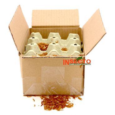 Buffalo wormen - 1 liter