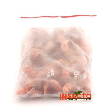 1-2 gram, Pinky Muis - 25 stuks