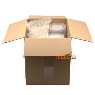 Fruitvliegen kweekset (15 potjes), 6095544856897