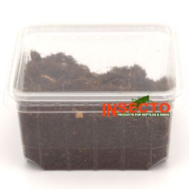Starfood - Tropische pissebedden (Trichorhina tomentosa) | TPS | 8717545210895