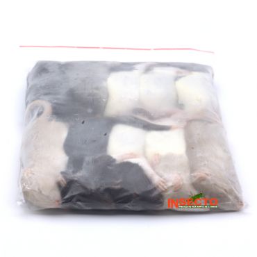 51-90 gram, Kleine rat - 5 stuks