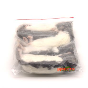 51-90 gram, Kleine rat - 5 stuks