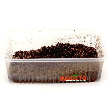 Springstaartjes Klein, liter, 6095544395310, SPSL