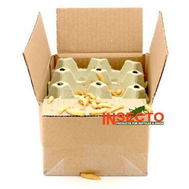 Levende wasmotten op houtkrul 500g, 6095544460490, WAS500