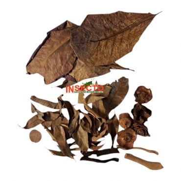 SuperFish Biotope Set Africa, 8715897350016, A4080450