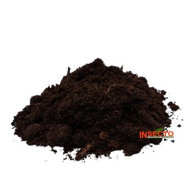 Dragon BIO Ground, 4038501001109, GIE061