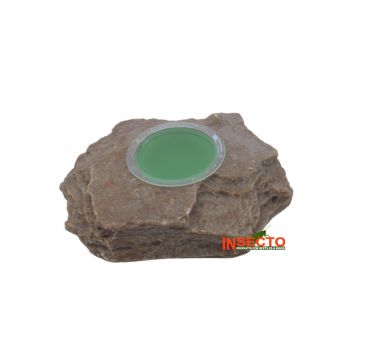 Dragon Jelly Food Rock, Sand Stone , 4038501011733, NDS65
