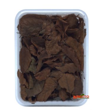 Dragon Oak Leaves, 1L, 4038501008559, DRA111