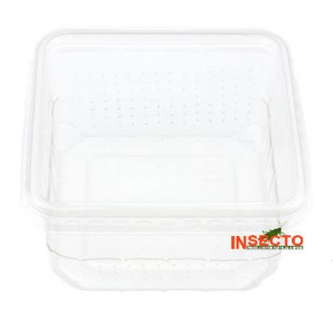 Krekel bakje - 450 ML