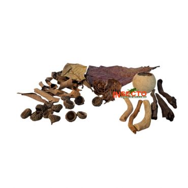 SuperFish Biotope Set Asia, 8715897350023, A4080455