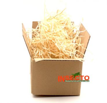 Houtkrul, 84-105 potten