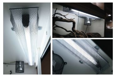 Arcadia LampGuardPro 510mm kopen? Beschermkooi voor TL armaturen | RALGP1 | 844046000743