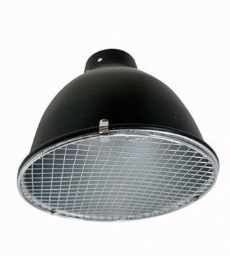 Lucky Reptile - Thermo Socket - Terramania.nl