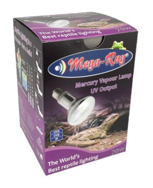Warmtelamp met UVB kopen voor reptielen? Mega-Ray Basking Lamp D3 UV 70W - Mini | 130070 | 4050644602173