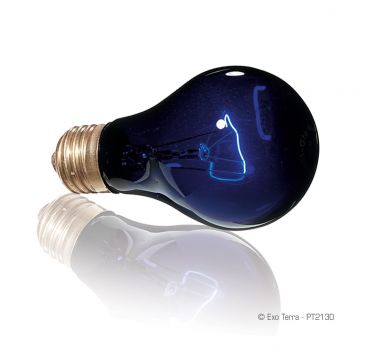 Exo-Terra - Night Heat Lamp - Terramania.nl