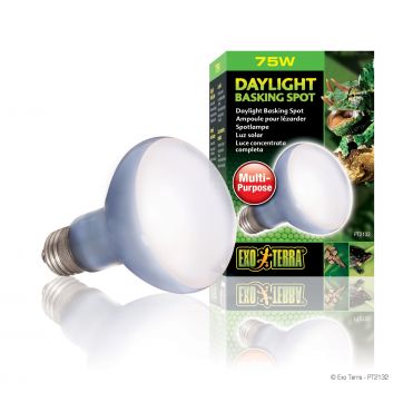 Exo-Terra Daylicht Basking Spot 75 Watt - Terramania