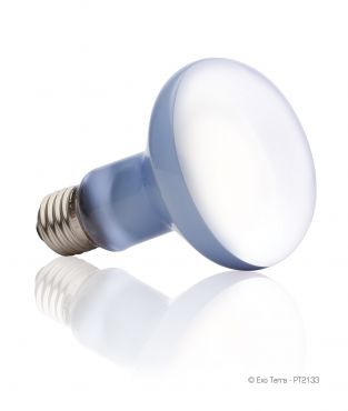 Exo-Terra Daylicht Basking Spot 100 Watt - Terramania.nl