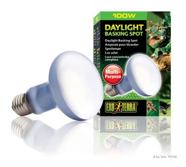 Exo-Terra Daylicht Basking Spot 100 Watt - Terramania.nl