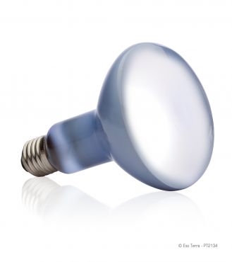 Exo-Terra Daylicht Basking Spot 150 Watt - Terramania.nl