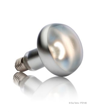 Exo-Terra Intense Basking Spot 150 Watt - Terramania.nl