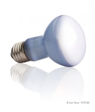 Exo-Terra Daylicht Basking Spot 25 Watt - Terramania.nl