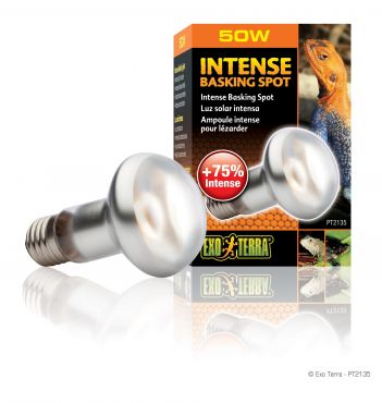 Intense Basking Spot lamp - 50 Watt