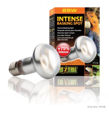 Intense Basking Spot lamp - 25 Watt