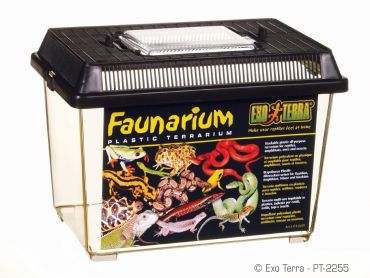 Exo-Terra - Faunarium - Small | PT2255 | 015561222556