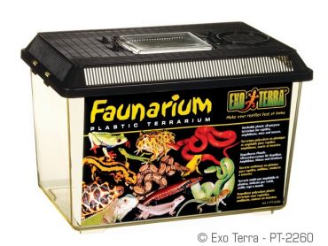 Exo-Terra - Faunarium - Medium | PT2260 | 015561222600