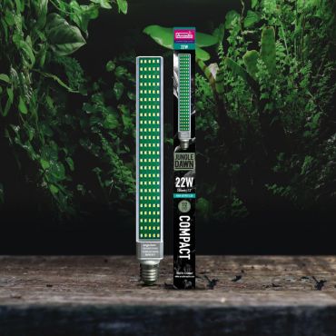 Arcadia - Jungle Dawn LED - Terramania.nl
