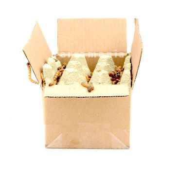 Moriowormen 1KG kopen? 6095544240276, MOWKG