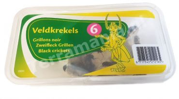 Veldkrekels (6), Middel, voedseldieren, 6095544441475