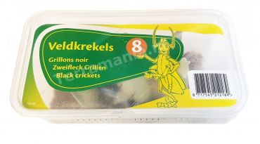 Veldkrekels (8), Volwassen, voedseldier, 6095544451429